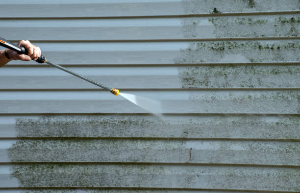 Best Mold Inspection  in Malvern, OH