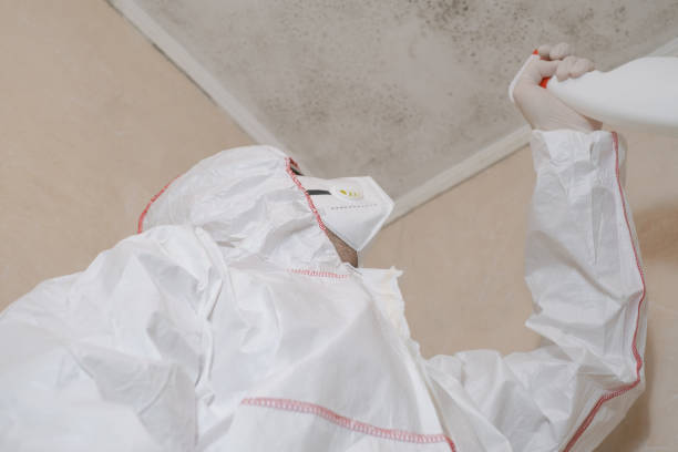 Crawl Space Mold Removal in Malvern, OH