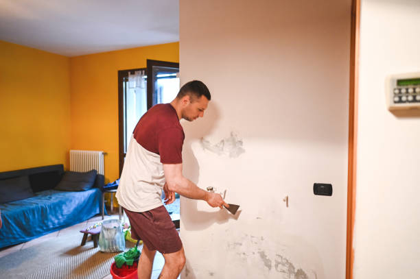 Best Emergency Mold Removal  in Malvern, OH